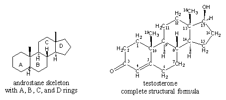 Steroid hormone synthesis