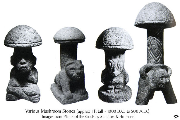 mushrooms_stone21.jpg