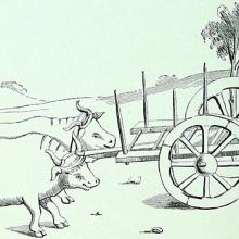 drawing of oxen pulling cart